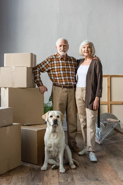 Full length view of senior couple and labrador dog in new house — Stock Photo