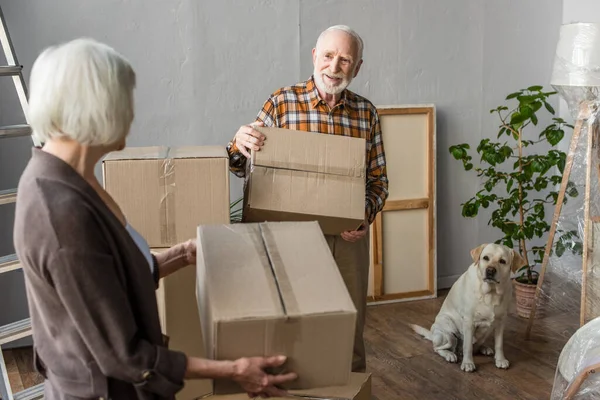 Senior couple holding cardboard boxes in new house while dog sitting near — Stock Photo