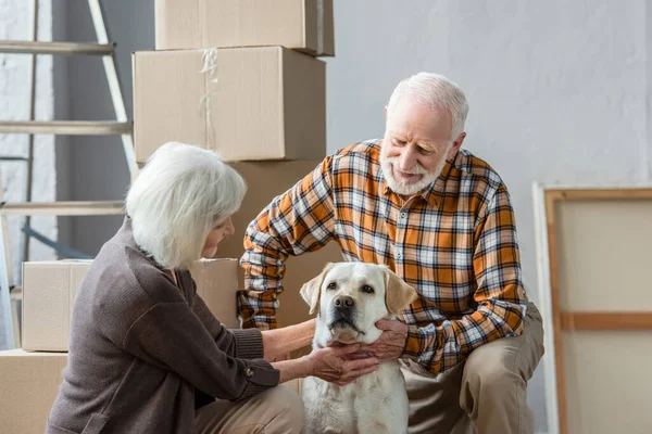 Happy senior couple petting dog in new house with cardboard boxes on background — Stock Photo
