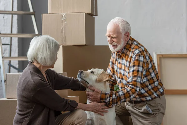 Feliz pareja de ancianos acariciando perro en casa nueva con cajas de cartón en el fondo - foto de stock