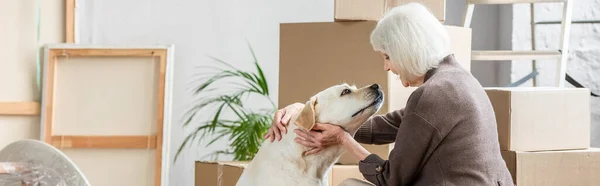 Panoramic shot of senior woman petting dog in new house with cardboard boxes on background — Stock Photo