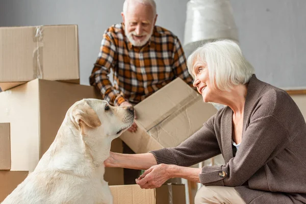 Senior mujer acariciando perro en nueva casa mientras marido sosteniendo caja de cartón - foto de stock