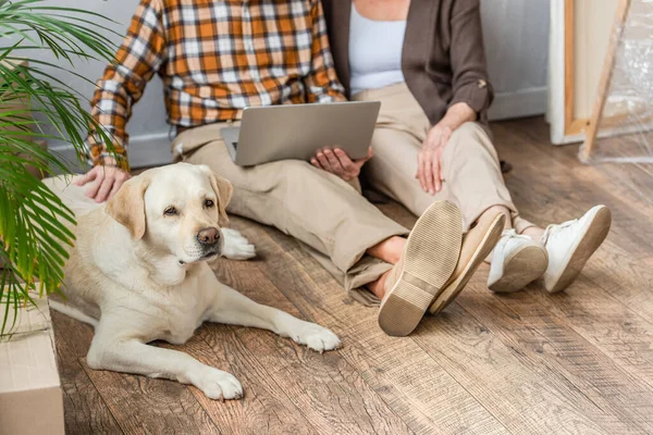 Vista recortada de la pareja de ancianos utilizando portátil sentado en el suelo y el marido acariciando perro acostado cerca - foto de stock