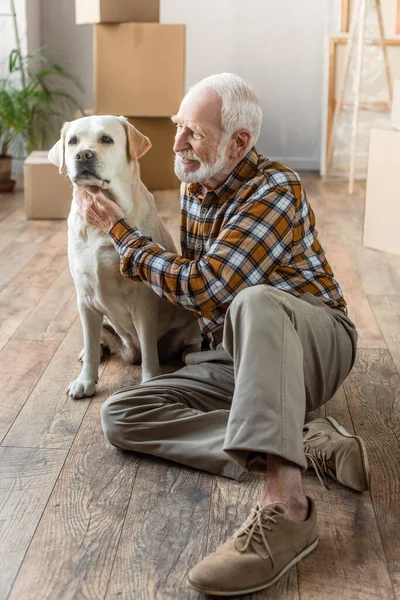 Vue pleine longueur de l'homme âgé heureux assis sur le sol et chien caressant — Photo de stock