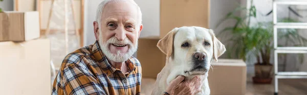 Панорамний знімок щасливого старшого чоловіка, що сидить на підлозі і пестить собаку — стокове фото