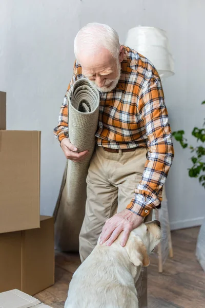 Senior man holding carpet and petting dog — Stock Photo