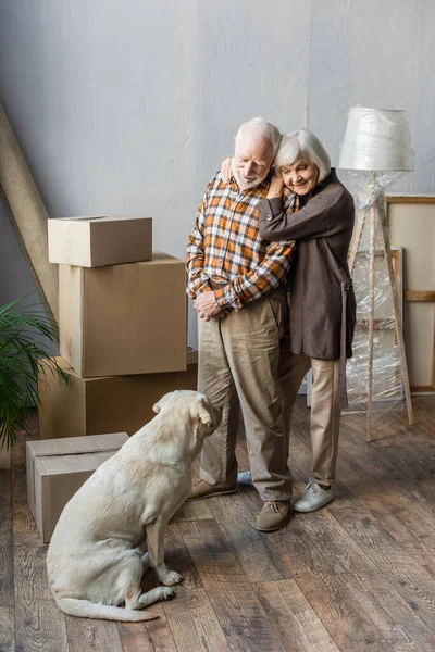 Pleine longueur de couple âgé joyeux regardant chien avec des boîtes en carton sur fond — Photo de stock