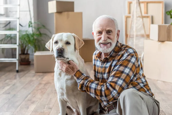 Happy senior man sitting on floor and petting dog with cardboard boxes on background — Stock Photo