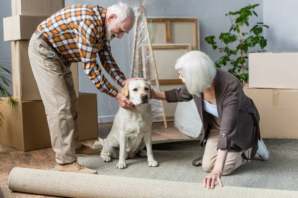 Cheerful senior couple petting dog and woman rolling carpet — Stock Photo