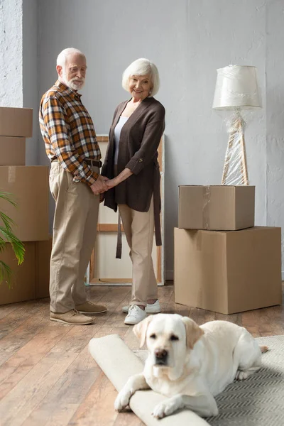 Vue pleine longueur du couple de personnes âgées tenant la main et chien couché sur le tapis dans une nouvelle maison — Photo de stock