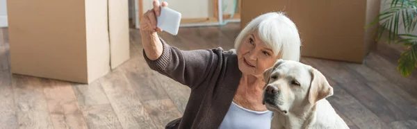 Senior mujer tomando selfie con perro sentado en caja - foto de stock