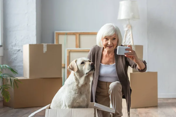 Femme âgée prenant selfie avec chien assis dans la boîte — Photo de stock