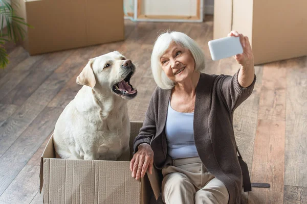 Mulher sênior tomando selfie com cão sentado na caixa — Fotografia de Stock