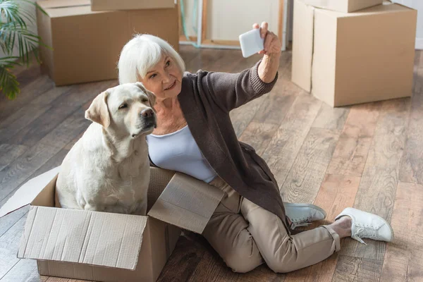 Senior mujer tomando selfie con perro sentado en caja — Stock Photo