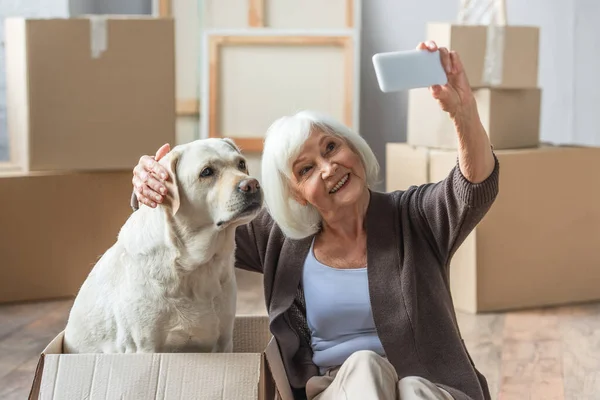 Senior mujer tomando selfie con perro sentado en caja - foto de stock