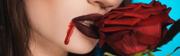 Panoramic crop of creepy woman with blood on face near red rose — Stock Photo
