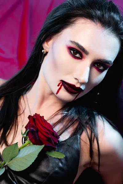 Pale woman with blood on face and rose looking at camera on red — Stock Photo