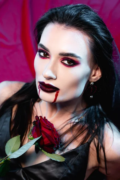 Young pale woman with blood on face and rose looking at camera on red — Stock Photo