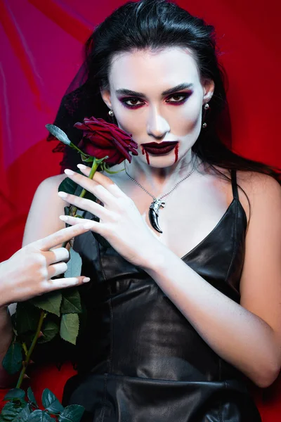 Young pale woman with blood on face holding rose on red — Stock Photo