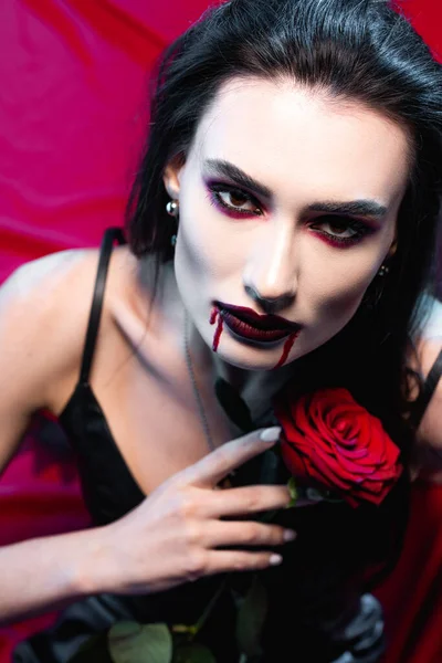 Overhead view of pale and brunette woman with blood on face holding rose on red — Stock Photo