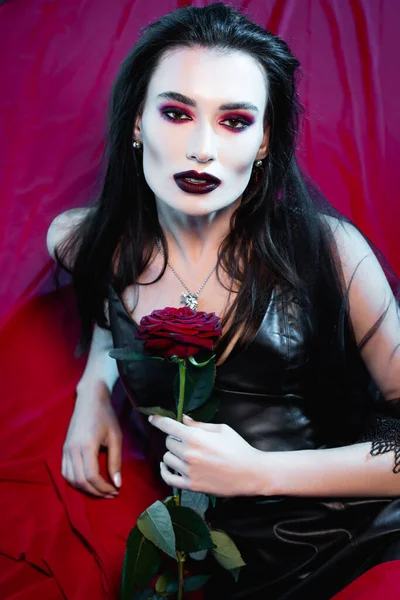 Brunette young woman looking at camera and holding rose on red — Stock Photo