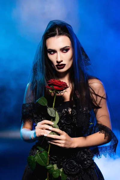 Novia en vestido negro y velo sosteniendo rosa roja sobre azul con humo, concepto de halloween - foto de stock