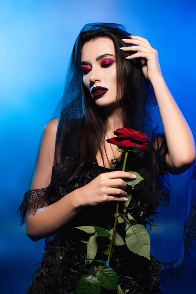 Woman in black dress and veil holding red rose on blue with smoke, halloween concept — Stock Photo