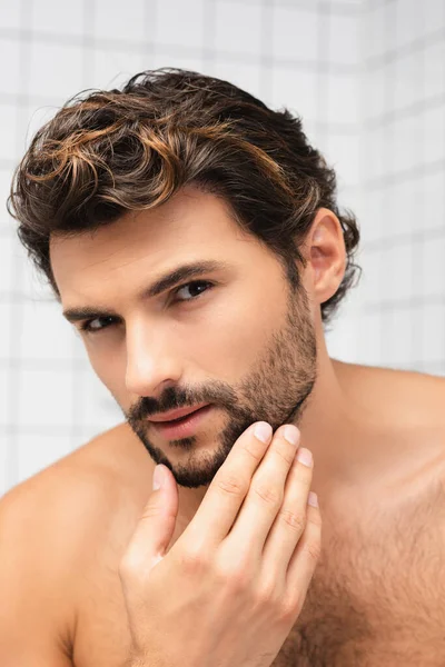 Hombre sin camisa tocando la barbilla mientras mira la cámara en el baño - foto de stock