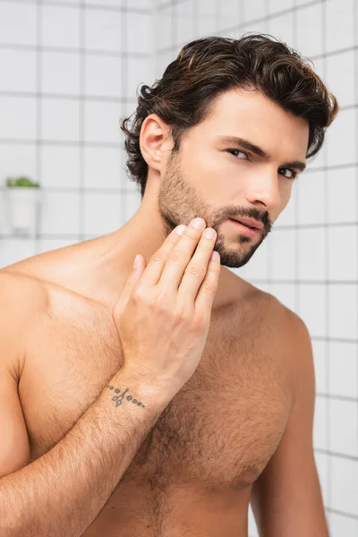 Hombre barbudo tocando la barbilla mientras mira la cámara en el baño - foto de stock