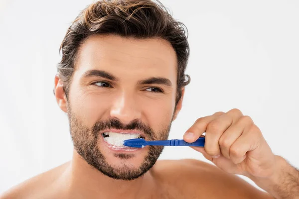 Hombre sin camisa cepillándose los dientes aislados en gris - foto de stock