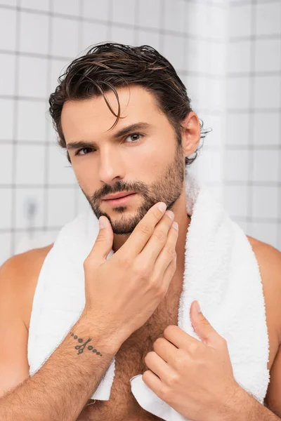 Мужчина без рубашки с мокрыми волосами и полотенцем вокруг шеи касается подбородка в ванной комнате — стоковое фото