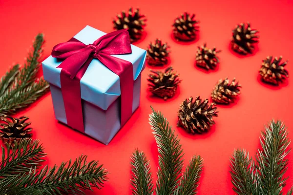 Cones, spruce branches and gift box on red background — Stock Photo