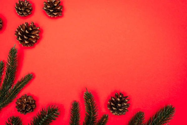 Top view of cones, spruce branches on red background — Stock Photo