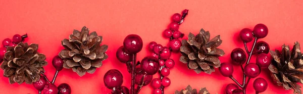 Top view of cones and berries on red background, banner — Stock Photo