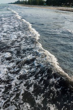 Kirli deniz çöplerle dolu..