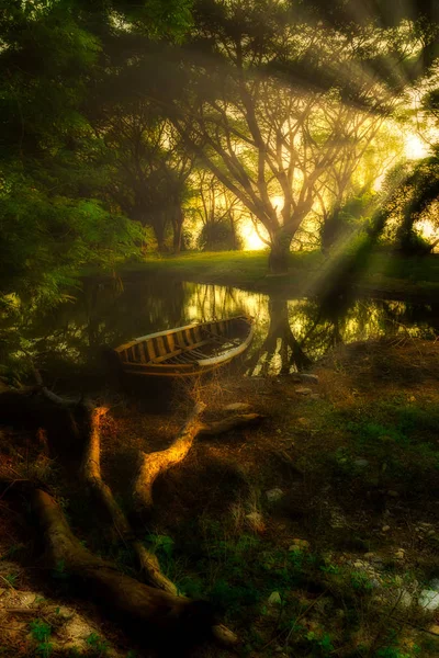 Antiguo Barco Pesquero Bosque Oscuro Con Luz Solar Antes Del —  Fotos de Stock