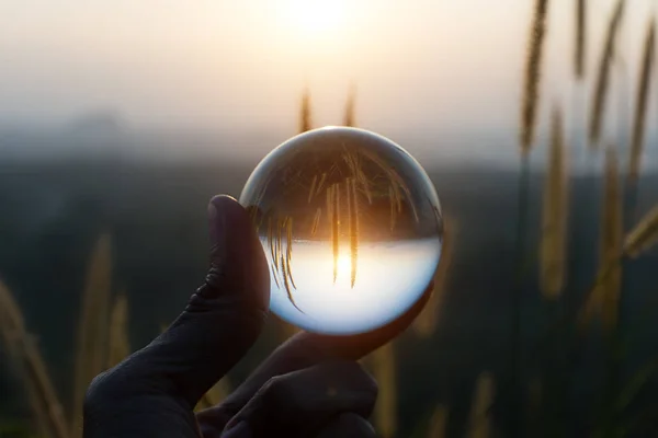 Crystal Hand Bij Zonsondergang Met Bloem Gras — Stockfoto