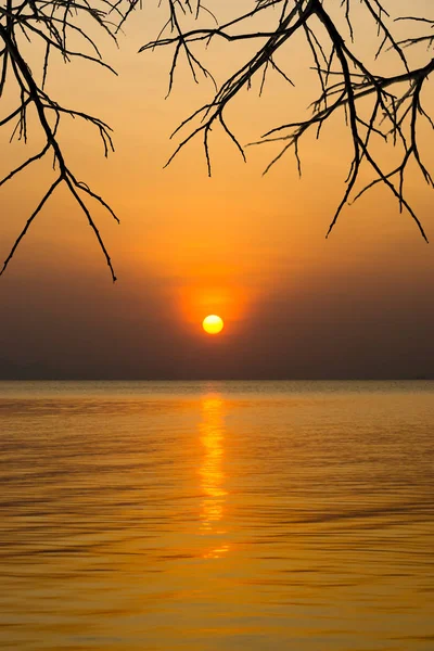 Sole Minimale Nel Cielo Tramonto Sul Lago Con Ramo Silhouette — Foto Stock