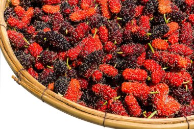 Kırmızı ve siyah arka plan ile kırpma yolu üzerinde dut