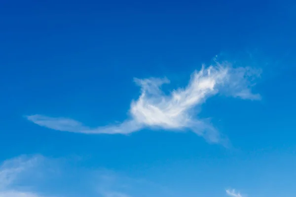 White bird cloud with blue sky.