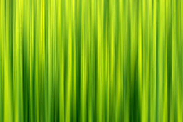 モーション抽象緑の線色背景 — ストック写真