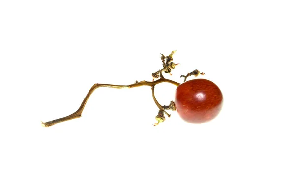 Nahaufnahme Rote Traube Mit Zweig Auf Weißem Hintergrund — Stockfoto