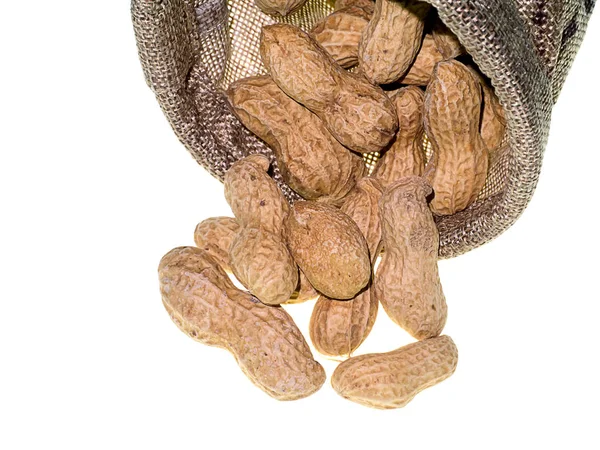 Close Dry Peanut White Background Arachis Hypogaea — Stock Photo, Image