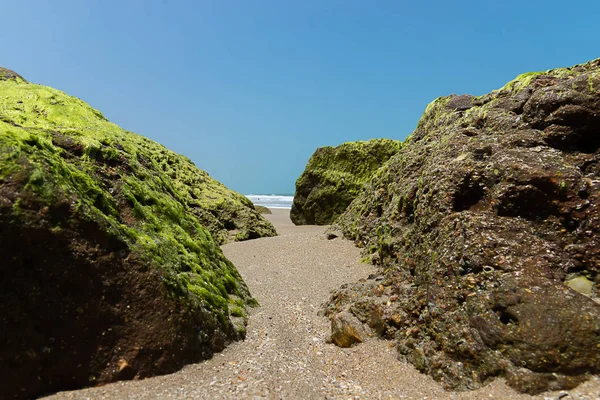 Sand Walkway Green Algae Rocks Blue Sky — Stock Photo, Image