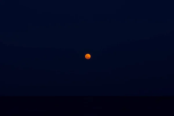Mała Błękitna Krew Księżyca Ciemną Noc Morzu — Zdjęcie stockowe