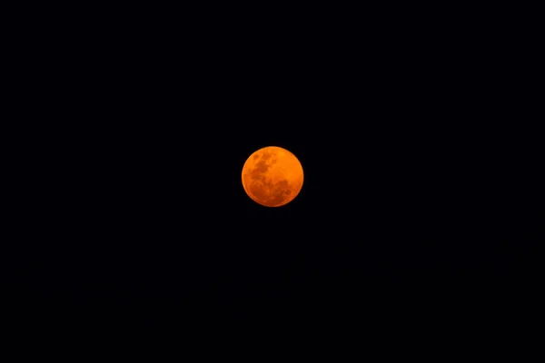 Sangue Azul Lunar Noite Escura — Fotografia de Stock