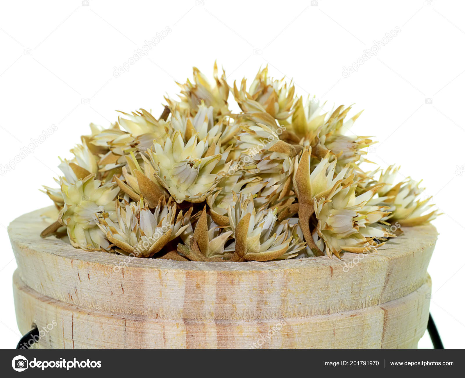 Bullet Wood Flower White Background — Stock Photo © Noppharat_th #201791970
