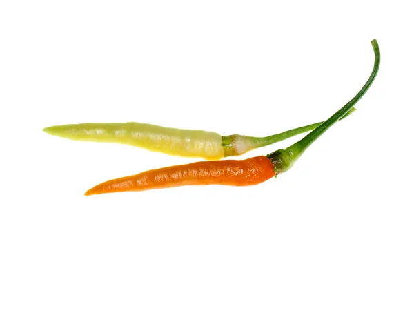 Fresh Chilli White Background — Stock Photo, Image