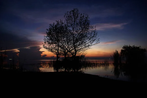 Siluett Träd Sjön Med Sunrise Sky — Stockfoto