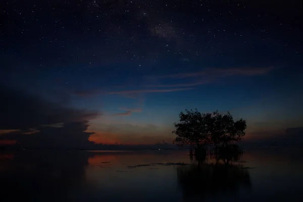 Árvore Silhueta Lago Com Poeira Estrela Antes Céu Nascer Sol — Fotografia de Stock